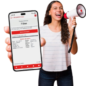 Software para venta de celulares a crédito